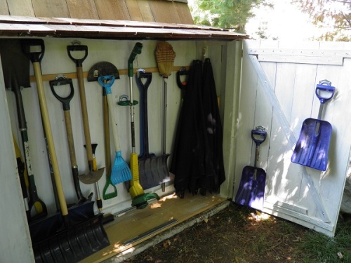Organized tools in shed